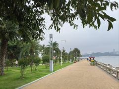 -野狸岛