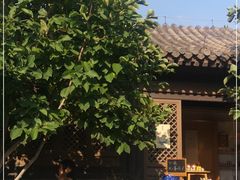 -春风习习