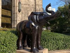 -南京银行(上海分行营业部)