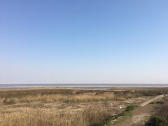 -南汇嘴观海公园
