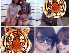 iphone_upload_pic-南昌之星摩天轮