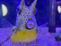 -太平洋海底世界