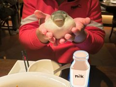 -永安鱼庄·镇江菜(东吴路店)