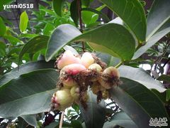 照片 057-北戴河集发农业梦想王国