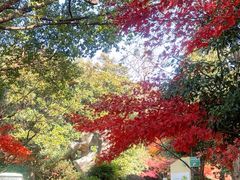 -杭州半山国家森林公园