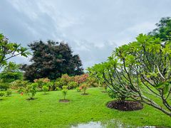 -中国科学院西双版纳热带植物园