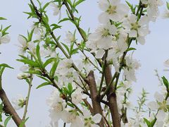 -L'Arome芳芳法国餐厅(仙林金鹰店)