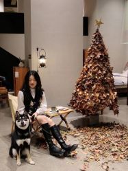 点击看大图 -IDOL PLUS