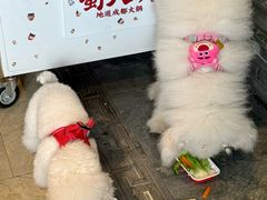 -蜀大侠火锅(春熙路店)