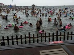 -碧海金沙
