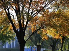 -云龙湖旅游景区