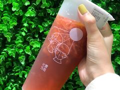 -雾与山茶(大禹城店)