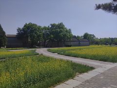 -北坞公园