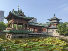 -迎泽公园