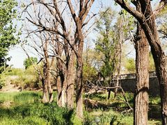 -永定河休闲森林公园