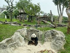 -武汉动物园
