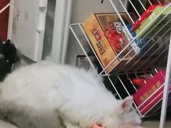 -奇门密室(五一新干线店)