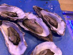 -千岛蚝高压锅生蚝·人参火锅(白云万达店)