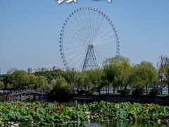 -无锡蠡湖国家湿地公园-蠡园
