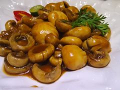 -宋庄魁元艺术餐厅