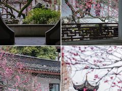 -杭州植物园