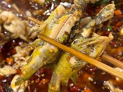 -鸿顺老铁锅美蛙鱼府(解放碑店)