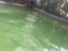 -仁爱团泊湖温泉中心