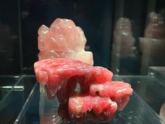 -中国地质博物馆