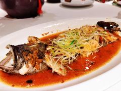 -三号黄浦会Canton Table