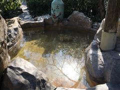 -金孔雀温泉旅游度假村