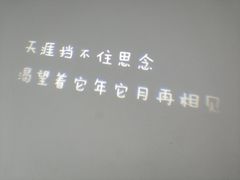 -成都失恋馆