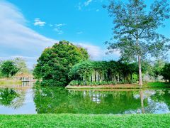 -中国科学院西双版纳热带植物园