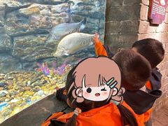 -上海贝贝佳幼儿园