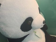 -眉州东坡·熊猫主题餐厅(枫蓝店)