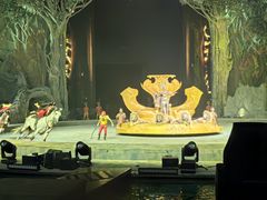 -广州长隆国际大马戏