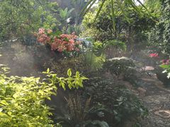 -陆地游轮吉林神农温泉