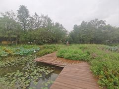 -西溪国家湿地公园