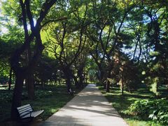 -玲珑塔公园