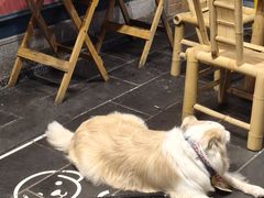 -吼堂老火锅(太古里总店)