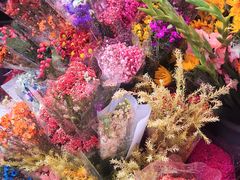 -越秀西湖花市(广州城市广场花卉店)