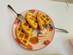 -三花喵·撸猫购宠·宠物生活馆(虹桥南丰城店)