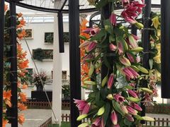 景点-上海鲜花港