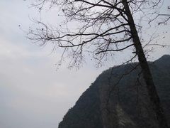 -太鲁阁公园