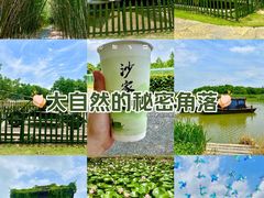 -沙家浜风景区