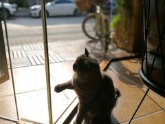 -B.O.M波姆烘焙(凤凰街店)