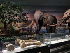 -湖南省地质博物馆