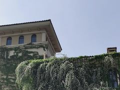 -府河摄影公园