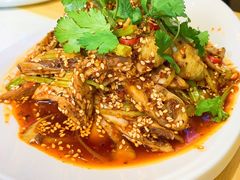 -执牛耳涮烤牛排火锅(伊河路店)