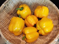 -千稻剁椒大鱼头(CityOn熙地港店)