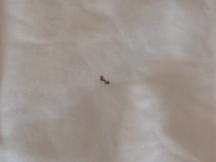 -无锡丽笙精选酒店